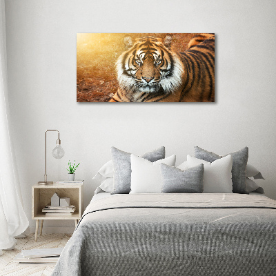 Moderný fotoobraz canvas na ráme Bengálsky tiger