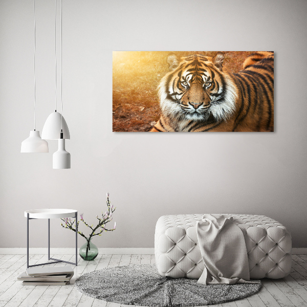 Moderný fotoobraz canvas na ráme Bengálsky tiger