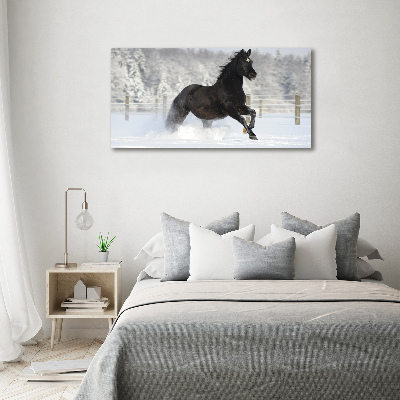 Foto obraz canvas Kôň v cvale sneh