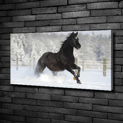 Foto obraz canvas Kôň v cvale sneh