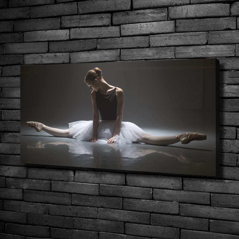 Foto obraz na plátne Baletka