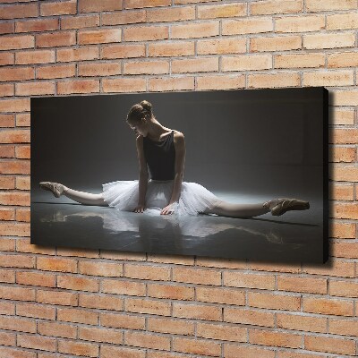 Foto obraz na plátne Baletka