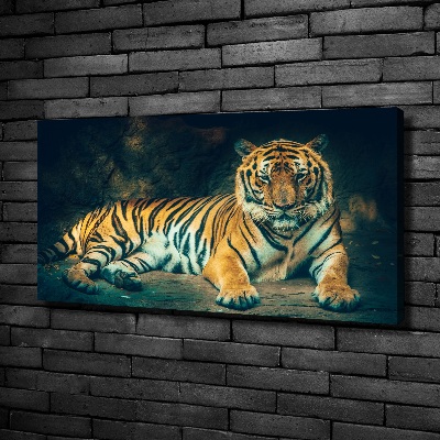Foto obraz na plátne Tiger v jaskyni