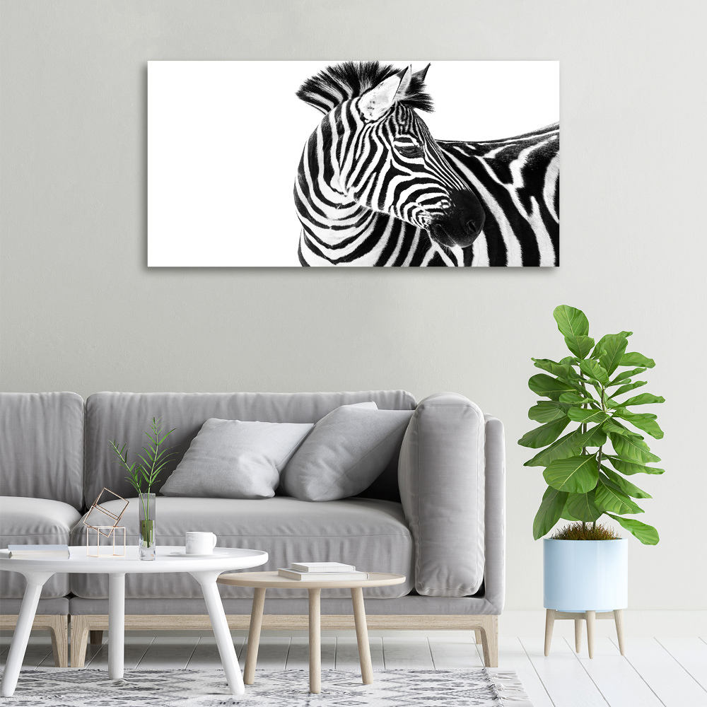 Foto obraz canvas Zebra v snehu