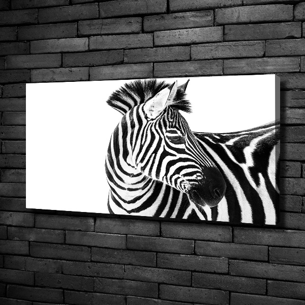 Foto obraz canvas Zebra v snehu