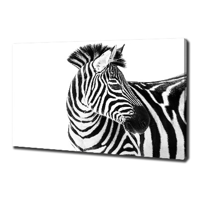 Foto obraz canvas Zebra v snehu