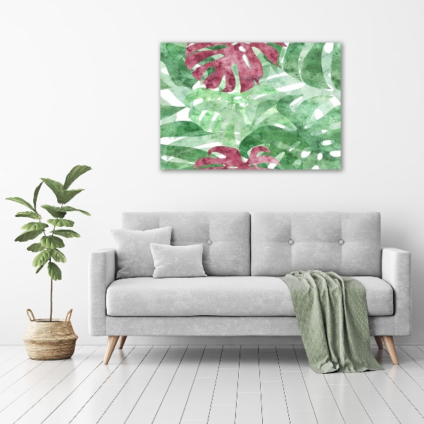 Moderný obraz canvas na ráme Monstera