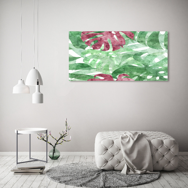 Moderný obraz canvas na ráme Monstera