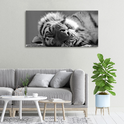 Foto obraz canvas Spiaci tiger