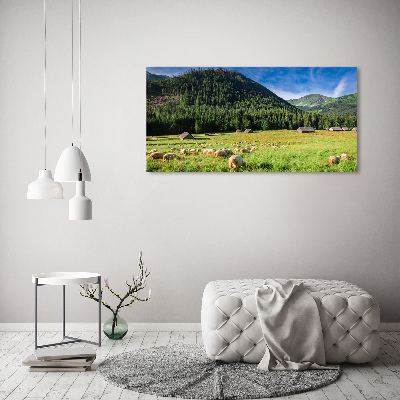 Foto obraz na plátne Ovce v Tatrách