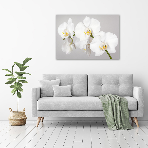 Foto obraz canvas Orchidea