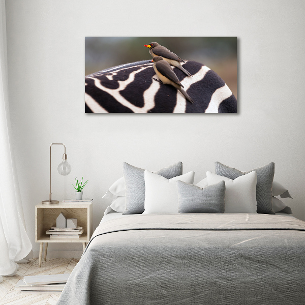 Foto obraz canvas Vtáky a zebra