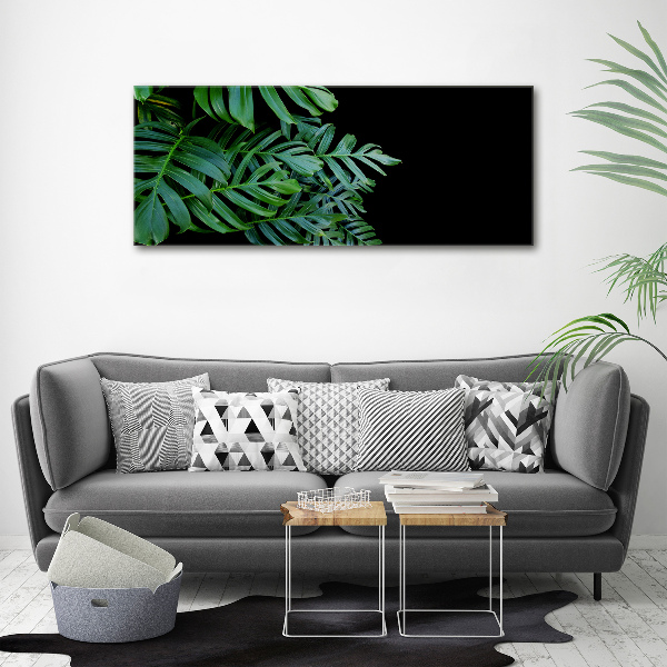 Foto-obraz canvas do obývačky Monstera