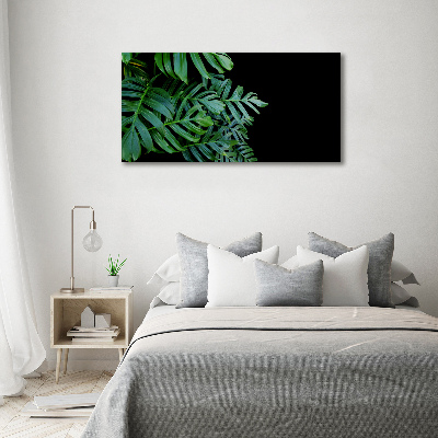 Foto-obraz canvas do obývačky Monstera