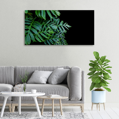 Foto-obraz canvas do obývačky Monstera