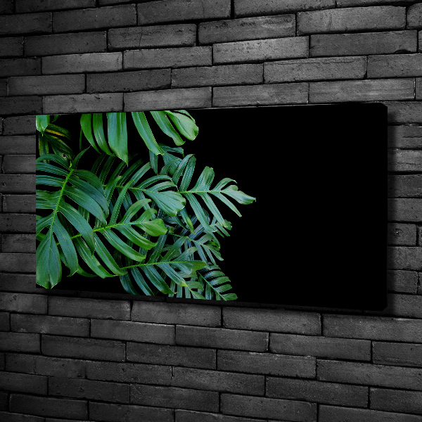 Foto-obraz canvas do obývačky Monstera