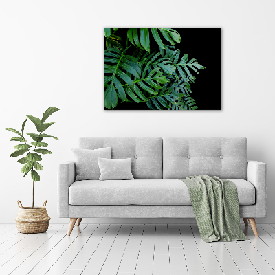 Foto-obraz canvas do obývačky Monstera