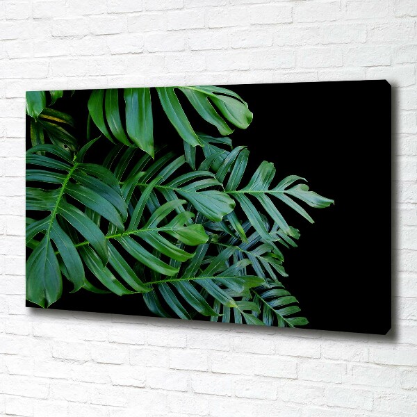 Foto-obraz canvas do obývačky Monstera