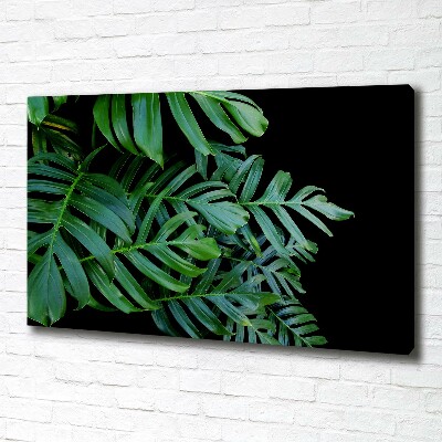 Foto-obraz canvas do obývačky Monstera