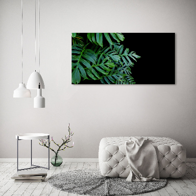 Foto-obraz canvas do obývačky Monstera