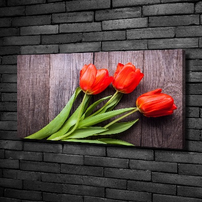 Foto obraz na plátne Červene tulipány