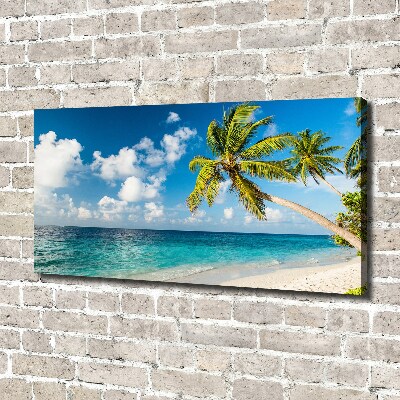 Foto obraz canvas Maledivy pláž