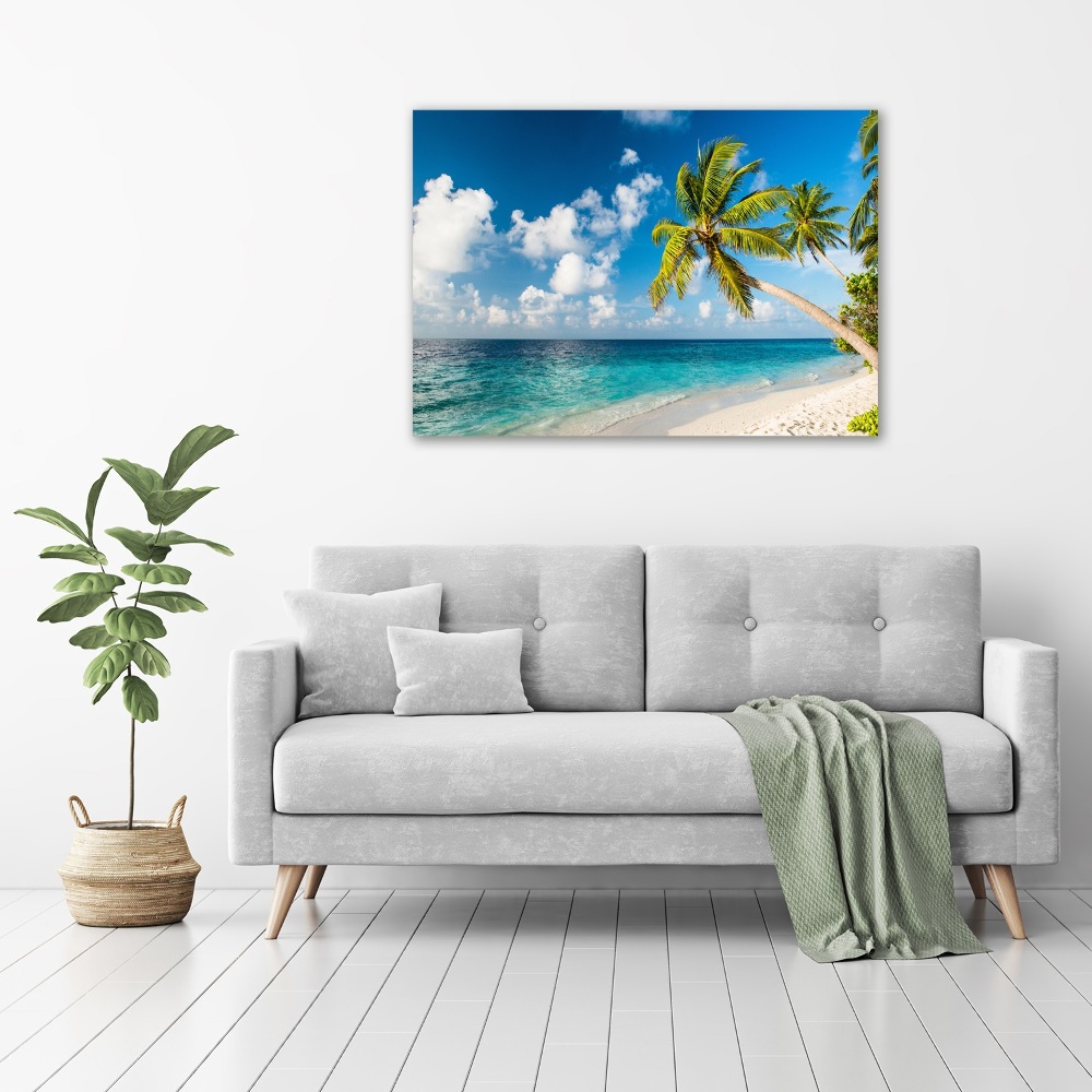 Foto obraz canvas Maledivy pláž