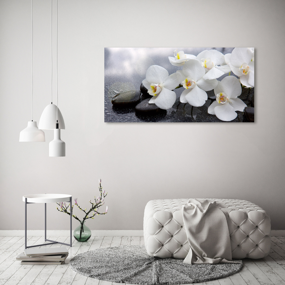 Foto obraz na plátne Orchidea