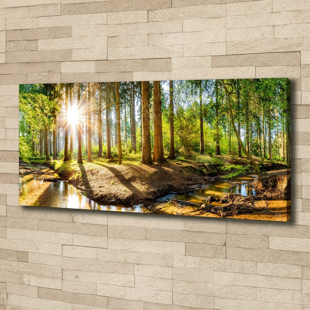 Foto obraz na plátne do obývačky Panorama les