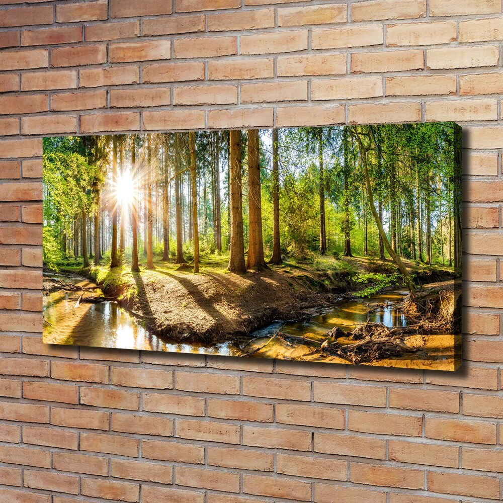 Foto obraz na plátne do obývačky Panorama les
