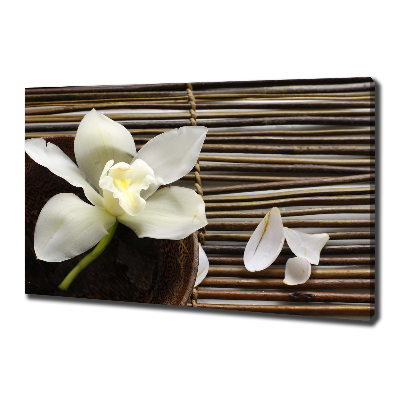 Foto obraz canvas Orchidea