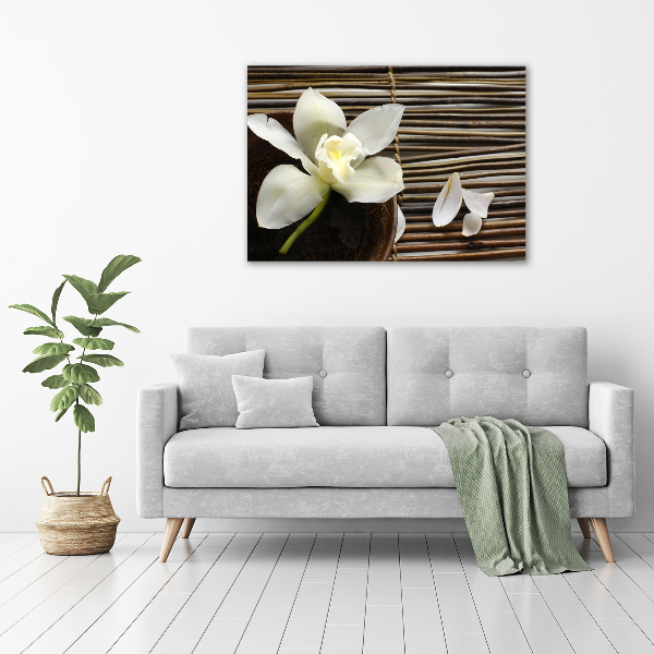 Foto obraz canvas Orchidea