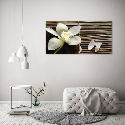 Foto obraz canvas Orchidea