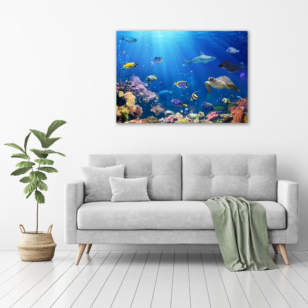 Foto obraz na plátne do obývačky Koralový útes