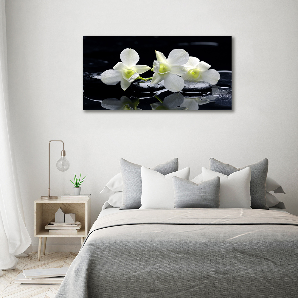 Foto-obraz canvas do obývačky Orchidea