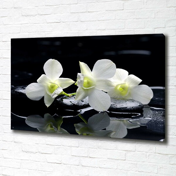 Foto-obraz canvas do obývačky Orchidea