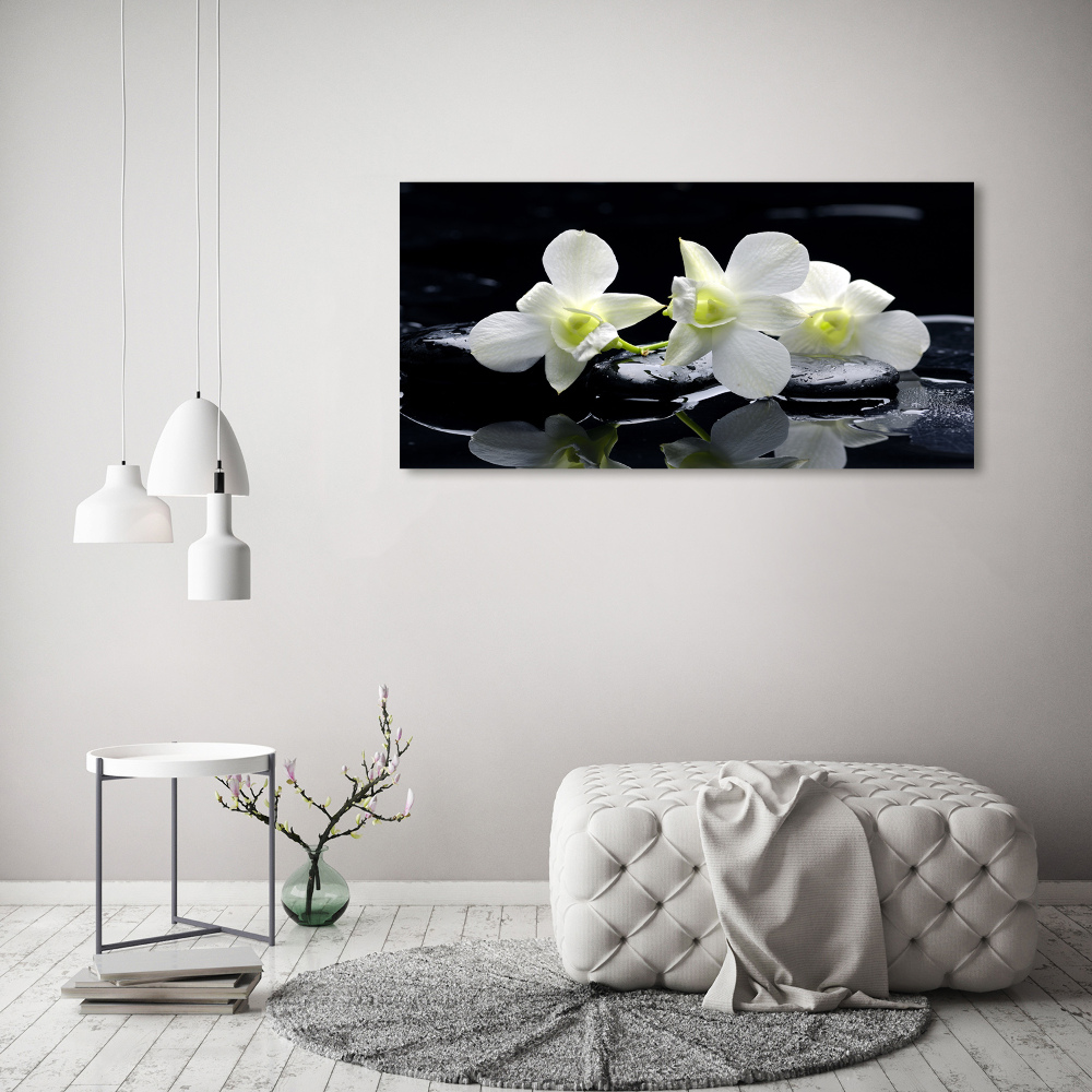 Foto-obraz canvas do obývačky Orchidea