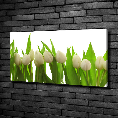 Foto obraz na plátne do obývačky Biele tulipány