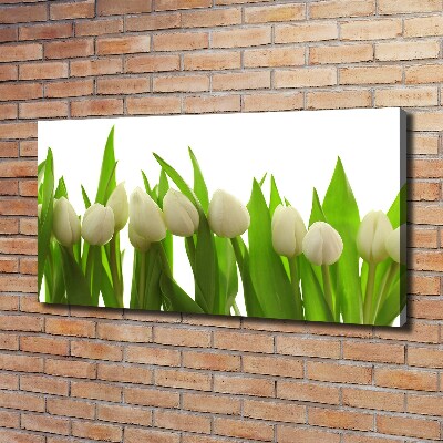 Foto obraz na plátne do obývačky Biele tulipány