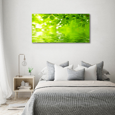 Moderný obraz canvas na ráme Zelené lístie
