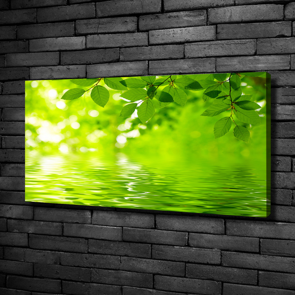 Moderný obraz canvas na ráme Zelené lístie