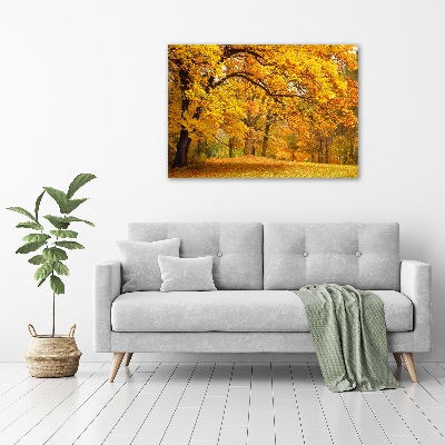 Foto obraz na plátne do obývačky Jeseň v parku