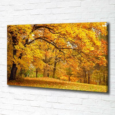 Foto obraz na plátne do obývačky Jeseň v parku