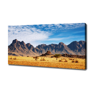 Foto obraz na plátne Skaly v Namíbii