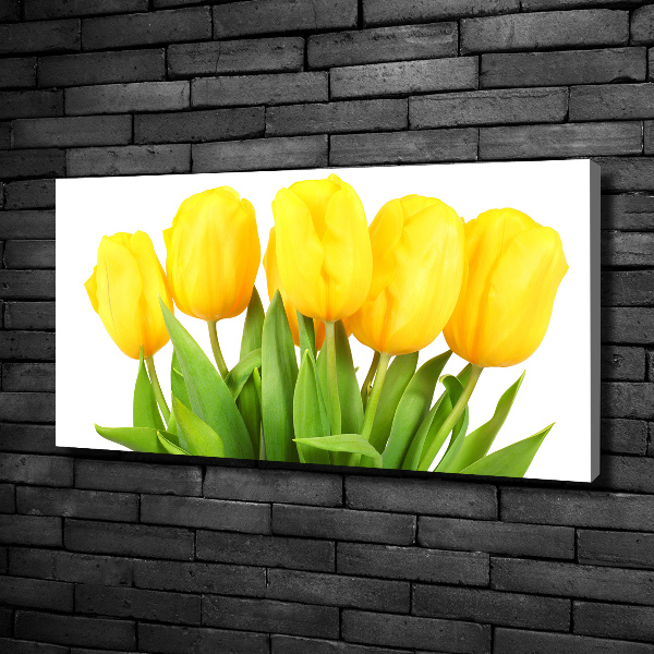 Foto obraz na plátne do obývačky Žlté tulipány