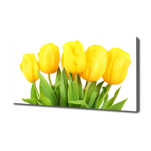 Foto obraz na plátne do obývačky Žlté tulipány