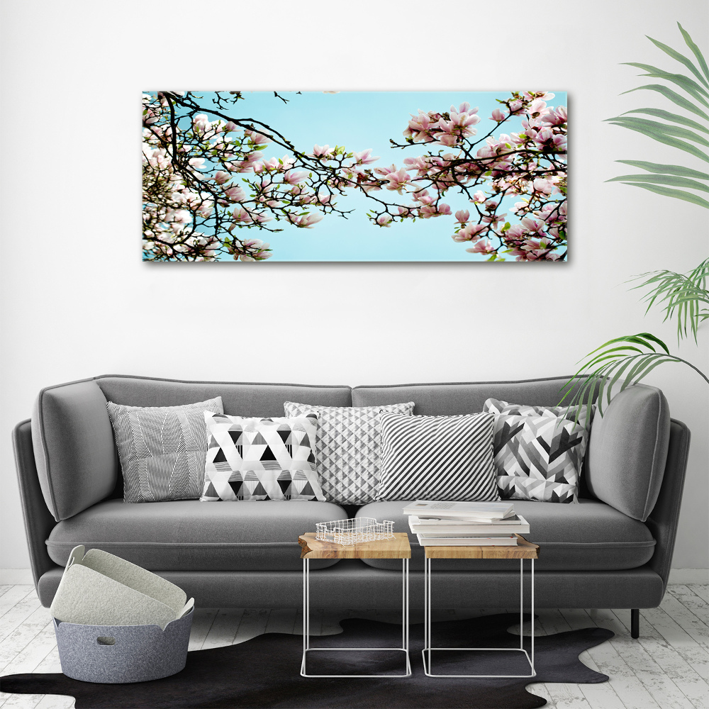 Foto obraz na plátne Kvety magnolie