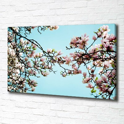 Foto obraz na plátne Kvety magnolie