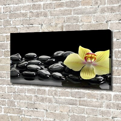 Foto obraz canvas Orchidea