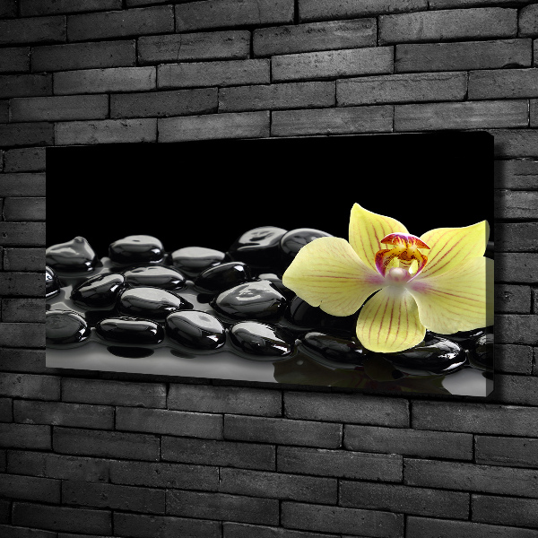 Foto obraz canvas Orchidea